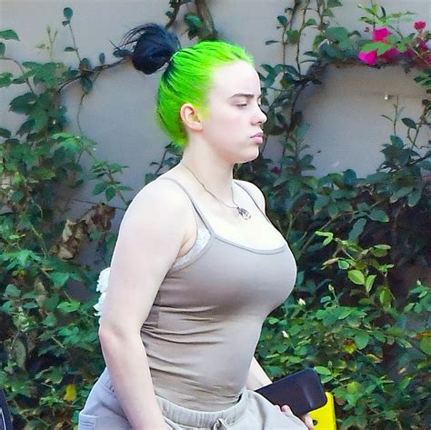 billie eilish big tits|Billie Eilish : r/Celebswithbigtits